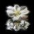 http://peaceful-breeze.infoblog.cz/data/avatar.jpg